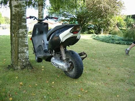 Aprilia rally. Solgt  billede 6