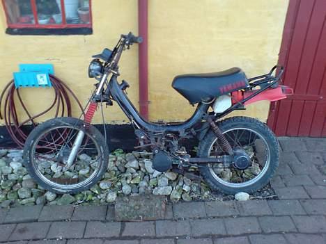 Yamaha Sting SG50 SOLGT - Da jeg lige havde fået den  billede 2