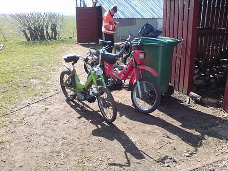 Yamaha Sting SG50 SOLGT - Sting´en i forhold til min maxi  billede 13