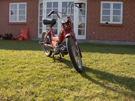 Puch Maxi P  billede 14