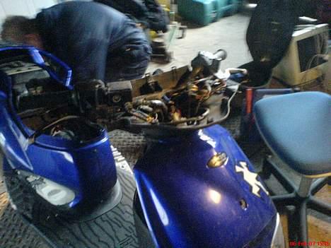 PGO Dr.big slogt - ved at blive skildet af  billede 6