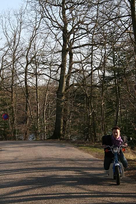 Suzuki FZ50 billede 4