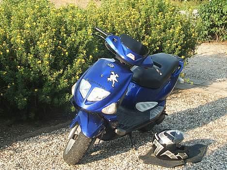 PGO Dr.big slogt billede 17