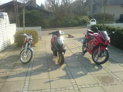 Aprilia sonic BYTTET billede 10