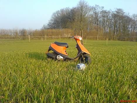 Yamaha Jog # PEPSI'S RACER # - En tur i naboens korn mark, det er noget en rigtig Joger kan lide ! billede 15