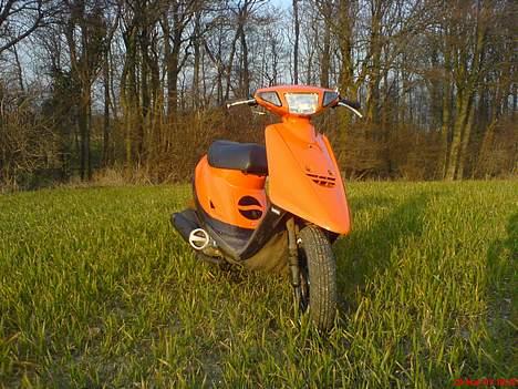 Yamaha Jog # PEPSI'S RACER # - Lige på skovtur billede 16