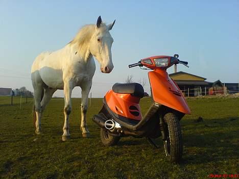 Yamaha Jog # PEPSI'S RACER # - Horsi dér er jo piss misundelig billede 18
