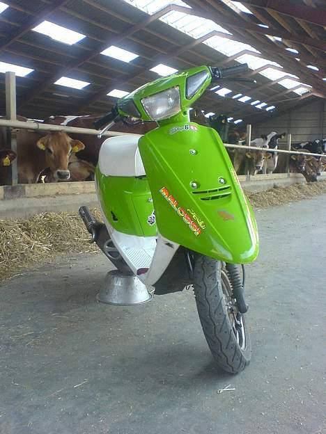 Yamaha Jog AS SOLGT billede 18