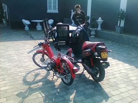 Puch Maxi P *Solgt* billede 10