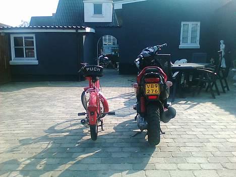 Puch Maxi P *Solgt* billede 11