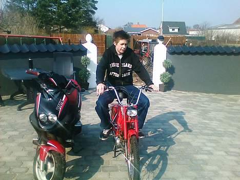 Puch Maxi P *Solgt* billede 12