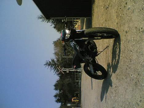 Derbi SENDA SM MONSTERET   før - gammelt billede 5