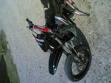 Derbi SENDA SM MONSTERET   før - gammelt billede 7