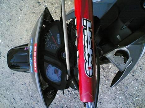 Derbi SENDA SM MONSTERET   før - gammelt billede 8