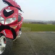 Peugeot speedfight2 wrc