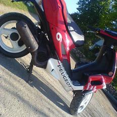 Peugeot speedfight2 wrc