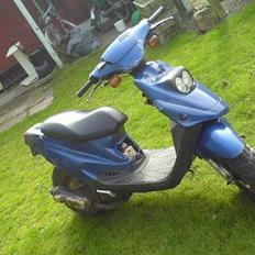 PGO big max  (Solgt)