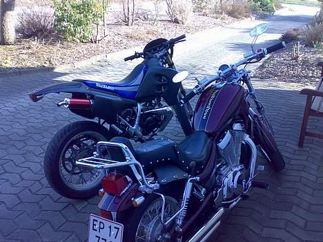 Suzuki SMX Byttet til Sonic billede 5