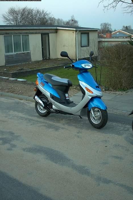 Baotian Huasha  billede 6