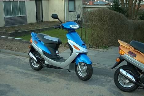 Baotian Huasha  billede 8