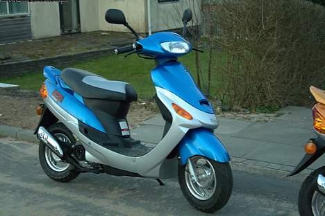 Baotian Huasha  billede 9