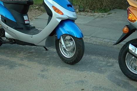 Baotian Huasha  billede 10