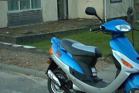 Baotian Huasha  billede 12