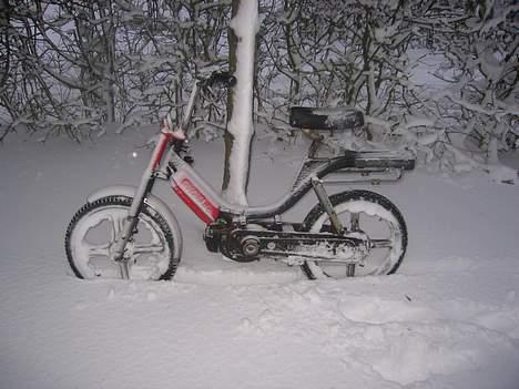Vespa Bravo  (Byttet til Puck) billede 7