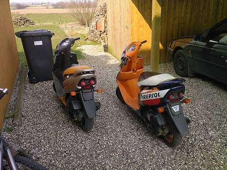 Honda SFX Repsol billede 5