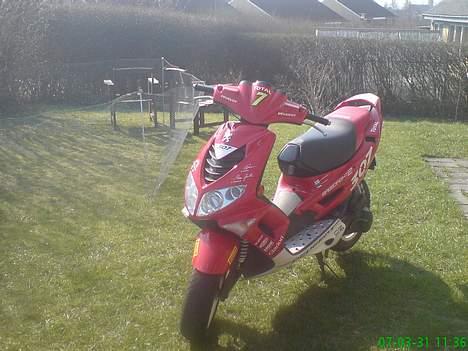 Peugeot speedfight 2 307 WRC      billede 4