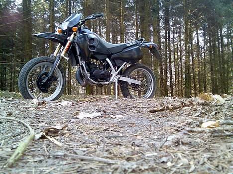 Suzuki SMX - Solgt :\ - På skovtur med skatten , hehe billede 13