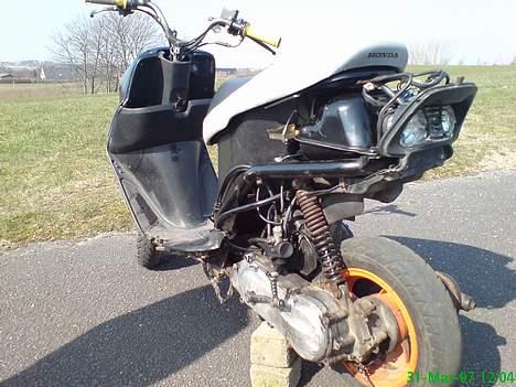 Honda sfx - solgt billede 8