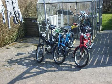 Puch Maxi k Solgt billede 17