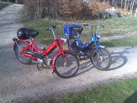 Puch Maxi P "Den Blå Baron" - Mig og peter på tur! (Peters er stjålet)  SYG VERDEN! billede 6
