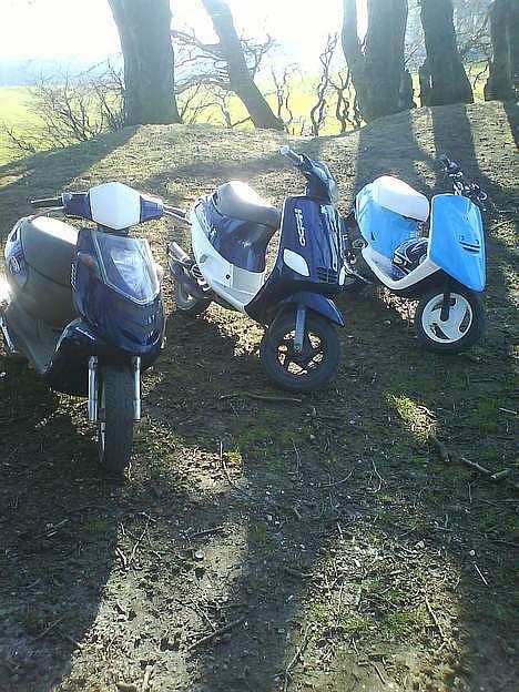 Piaggio zip billede 10