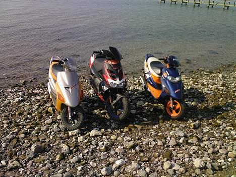 Honda SFX Repsol billede 7