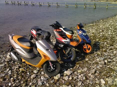 Honda SFX Repsol billede 8