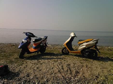 Honda SFX Repsol billede 10