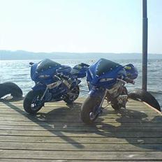 MiniBike Motul Pocket bike /solgt/