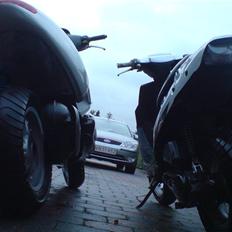 Benelli 491 st (SOLGT)