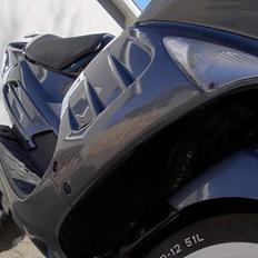 Peugeot SpeedFight 2 - TrueDullen