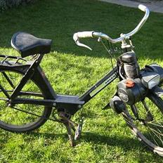 Velo solex 3800