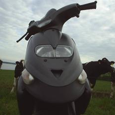 Gilera Stalker (Stjålet)