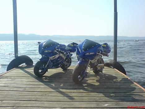 MiniBike Motul Pocket bike /solgt/ billede 3