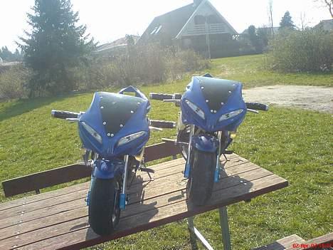 MiniBike Motul Pocket bike /solgt/ billede 11