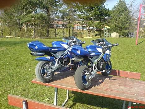 MiniBike Motul Pocket bike /solgt/ billede 12