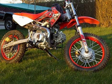 MiniBike mini bike [speed] (solgt) billede 3