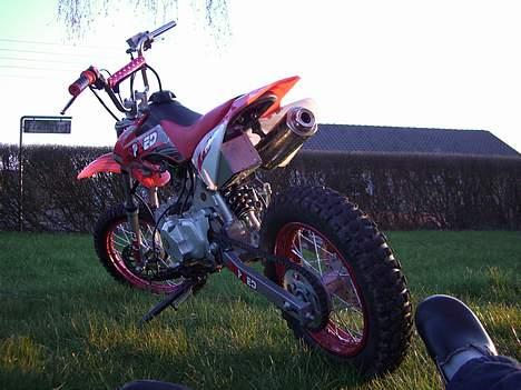 MiniBike mini bike [speed] (solgt) billede 4