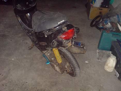 PGO Rodoshow Til salg billede 5