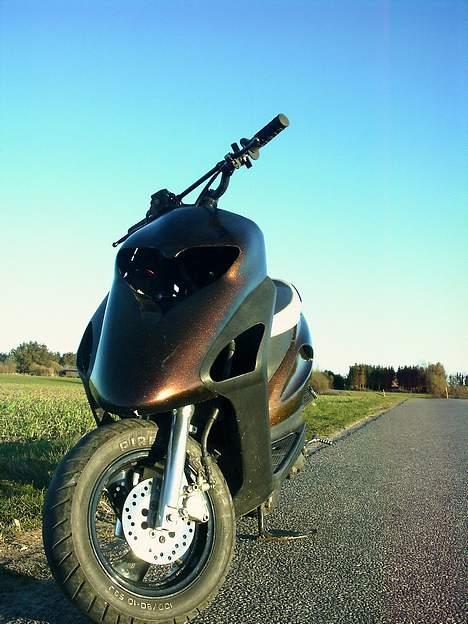 Honda SFX billede 5